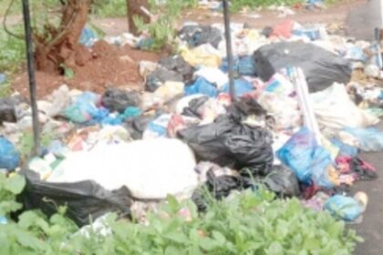 Dumping waste at Nuvem? Be careful, you are being watched