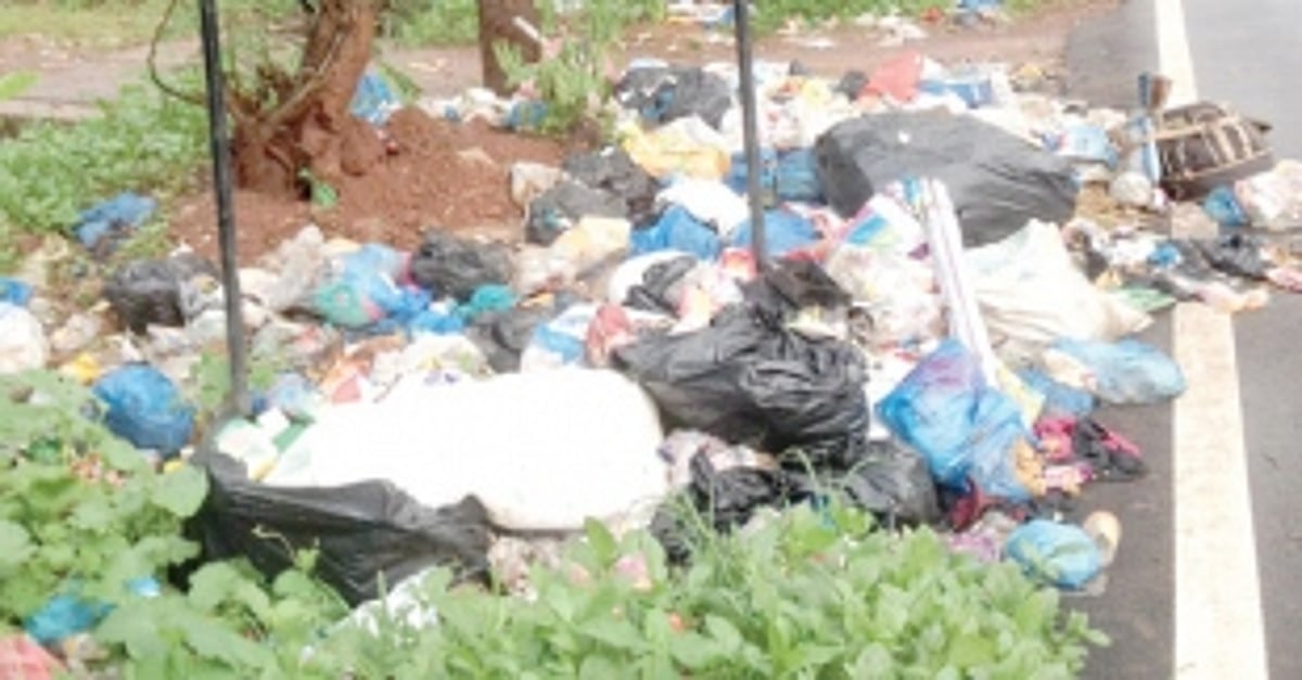 Dumping waste at Nuvem? Be careful, you are being watched