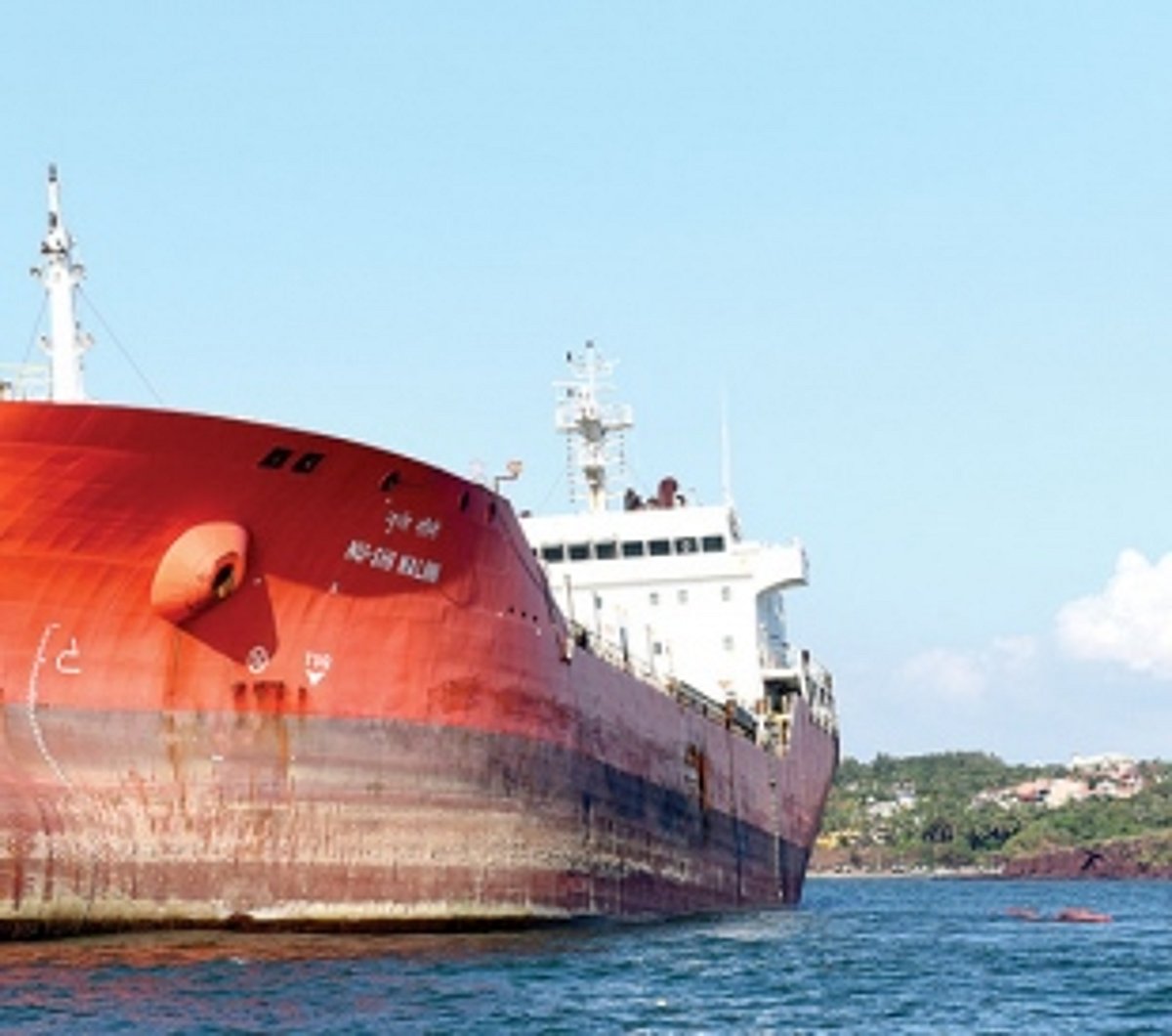 Dutch firm to remove naphtha from grounded ship
