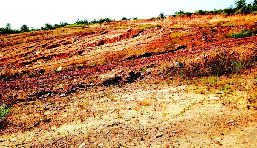 Dy Collector issues stop work order on illegal
hill cutting in Xeldem