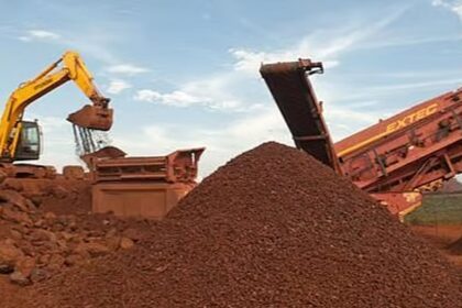 E-auctions halted for 154 iron ore leases in Goa’s eco-sensitive areas
