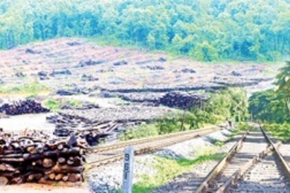 EIA claims NO major damage to MOLLEM