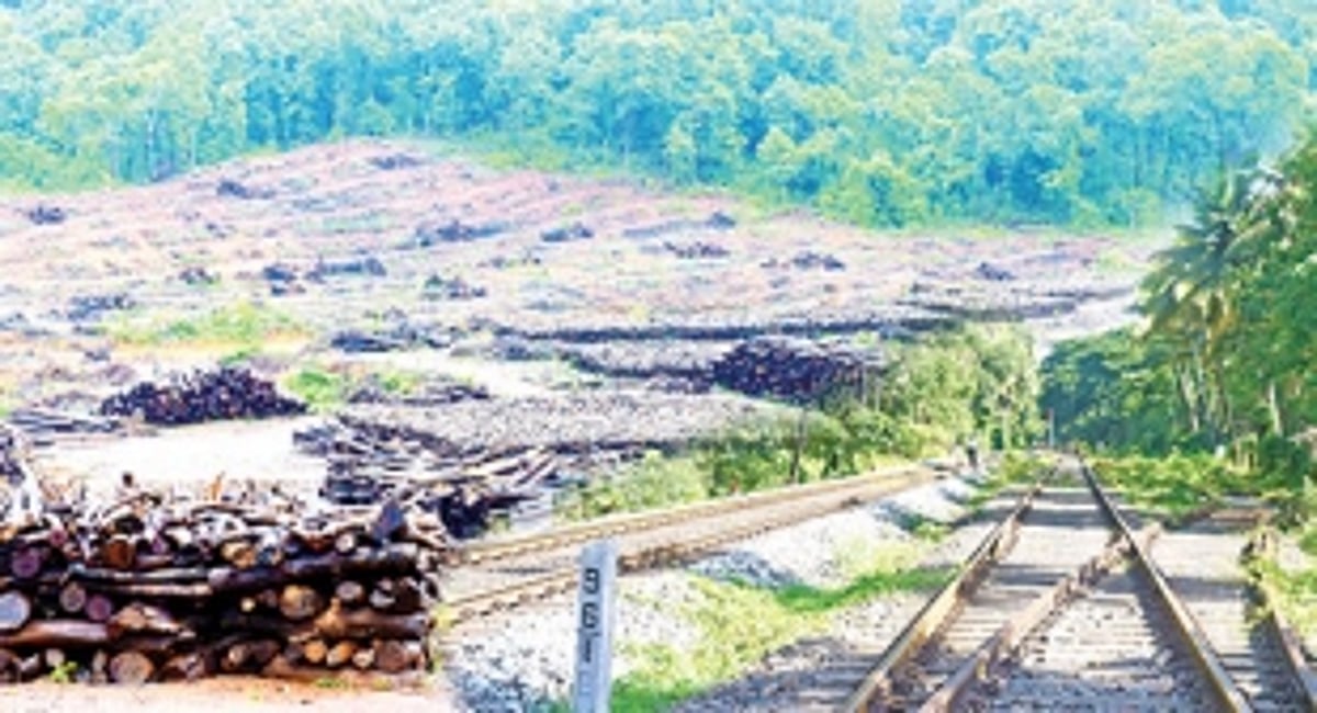 EIA claims NO major damage to MOLLEM