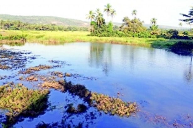 ENVIRONMENT CLEARANCE TO MULGAO MINE: DEATH KNELL TO LIVES AND LIVELIHOODS