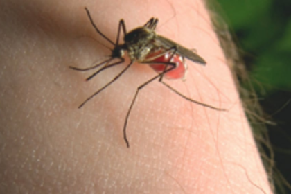 ERADICATE MALARIA TODAY, KEEP IT AWAY TOMORROW