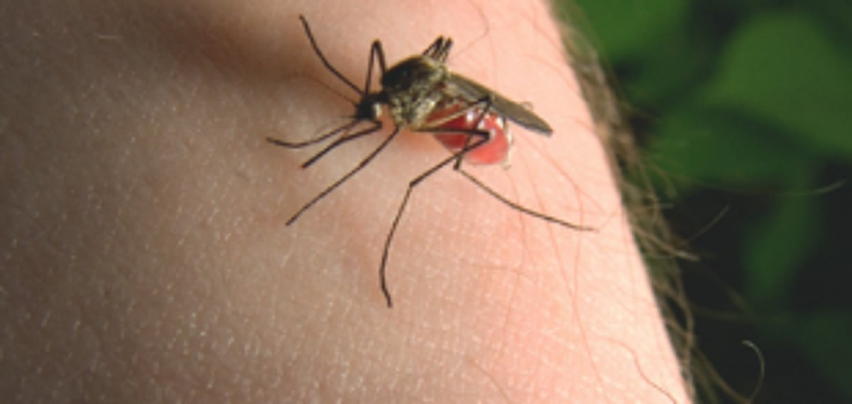 ERADICATE MALARIA TODAY, KEEP IT AWAY TOMORROW