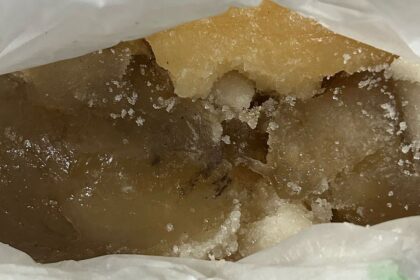 EXCLUSIVE: Ambergris Worth ₹10 Crore Seized in Sanguem; 3 Arrested