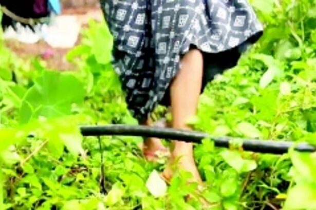 EXPOSED: 63 years after Liberation, Kazur villagers still grope in the dark