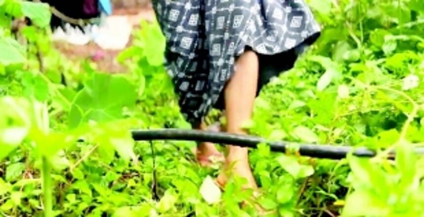 EXPOSED: 63 years after Liberation, Kazur villagers still grope in the dark 1 EXPOSED: 63 years after Liberation, Kazur villagers still grope in the dark