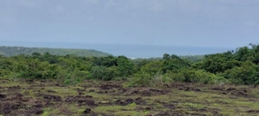 Eco-sensitive Loliem wants to remain the way it is, shocked at calls for removal of villages from green zones 1 Eco-sensitive Loliem wants to remain the way it is, shocked at calls for removal of villages from green zones