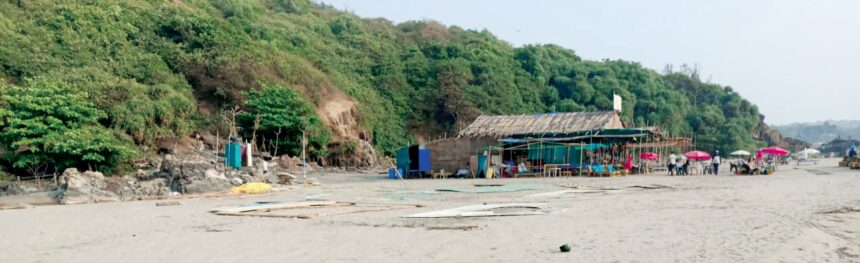 Eco-sensitive zone spared as trance festival ‘turns turtle’ at Dream Beach