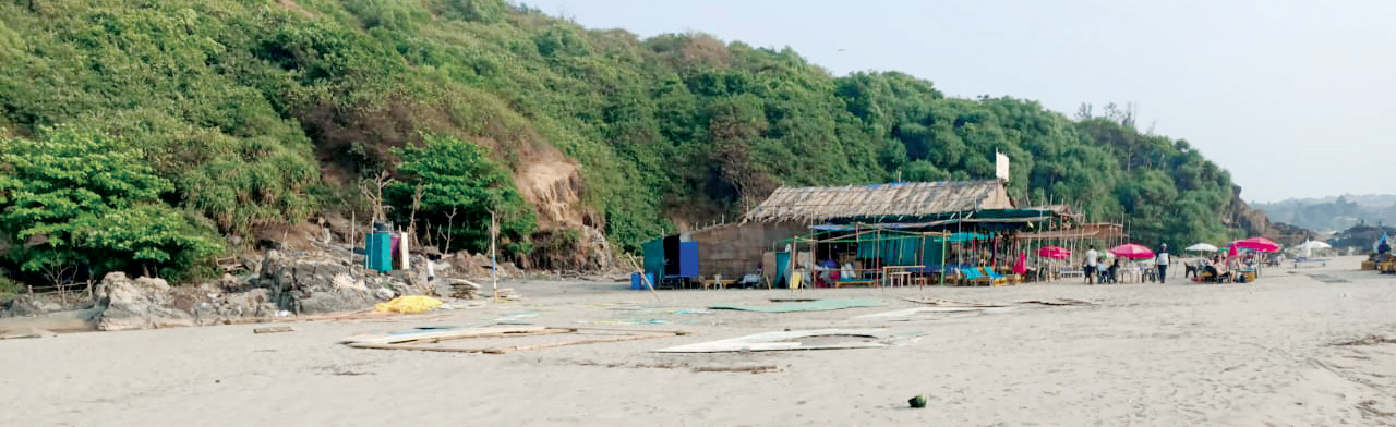 Eco-sensitive zone spared as trance festival ‘turns turtle’ at Dream Beach