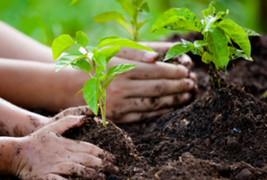 Economic aspects are important, so too is environment