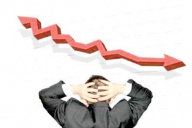 Economic slowdown and insights from behavioural economics