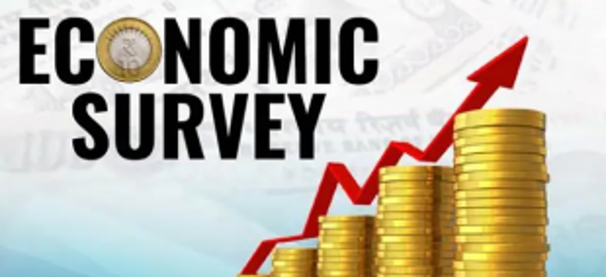Economy will grow by 10.33  per cent: Economic Survey