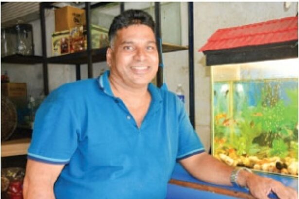 Effy the independent scripts his own creative course