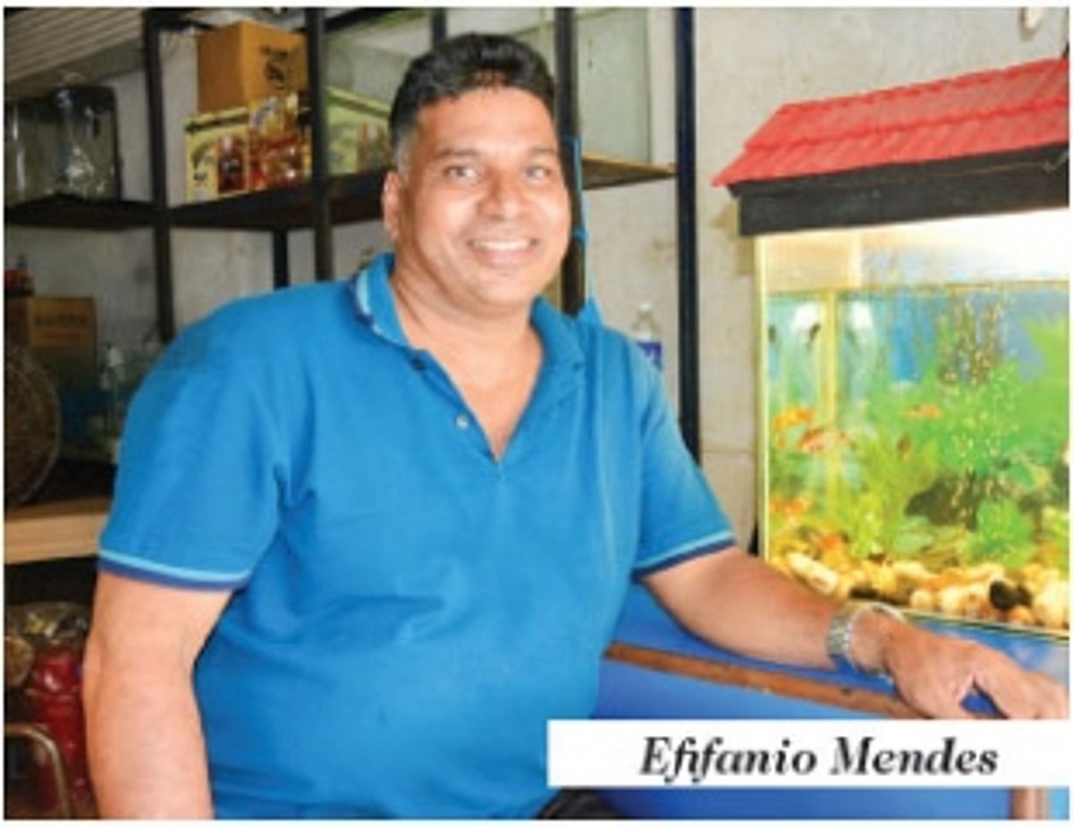 Effy the independent scripts his own creative course