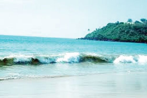 Ekuch tem: Enigma of Konkani words