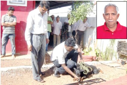 Elderly Areal man smothered to death