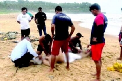 Elderly Mumbai couple drowns off Sinquerim, woman rescued