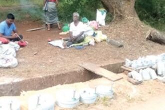 Electric grinders are taking our traditional ‘rogddo’ out of the mix