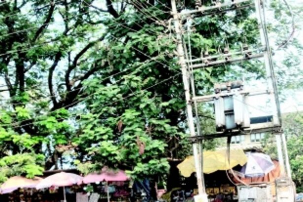 Electric transformer at Vasco market needs fencing