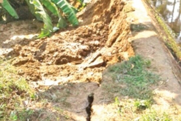 Embankment along Paroda canal to be repaired