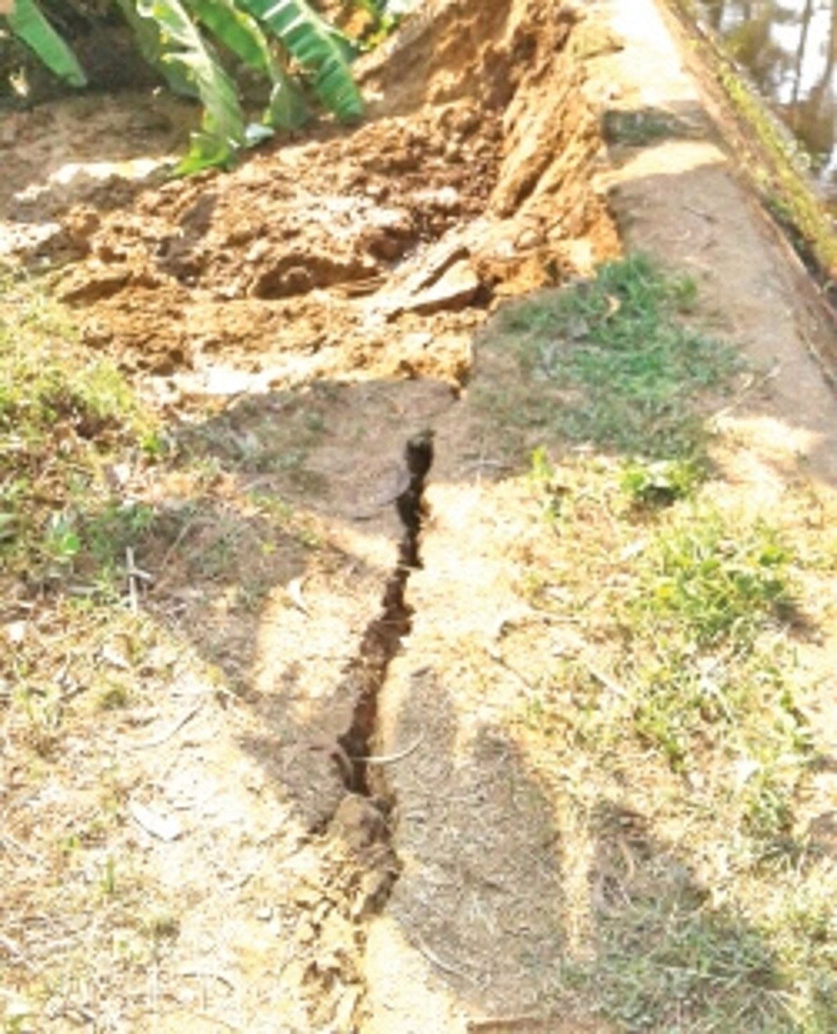 Embankment along Paroda canal to be repaired