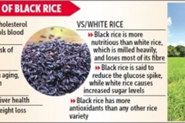 Emboldened by market demand, farmers in Quepem embrace black rice cultivation