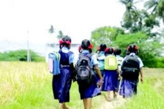 Embracing the transition from summer holidays to school routines