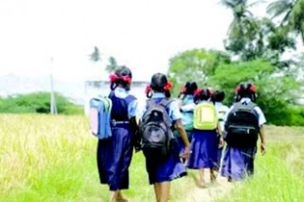 Embracing the transition from summer holidays to school routines