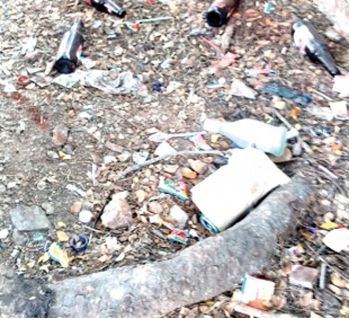Empty, broken bottles lie strewn all over Chicalim children park