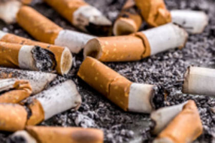 Enforcement Squad   holds inspections in   Ponda to check for   COTPA violations