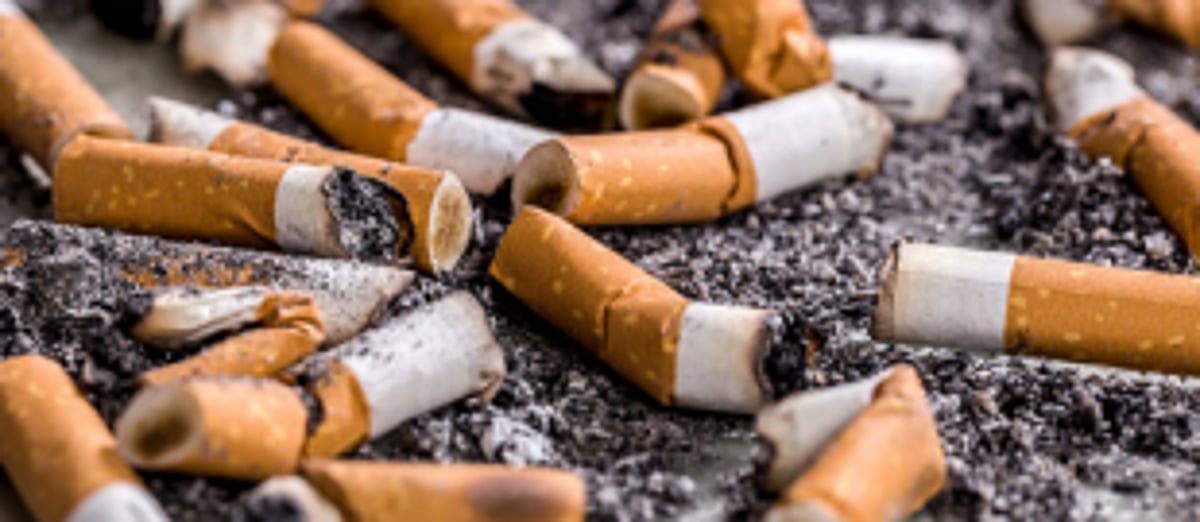 Enforcement Squad   holds inspections in   Ponda to check for   COTPA violations