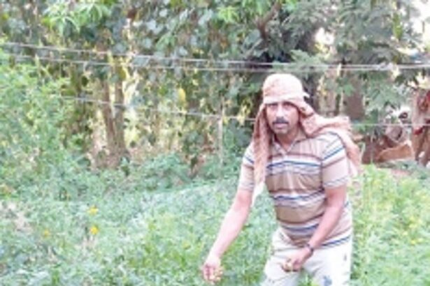 Engineer-turned-farmer from Canacona coming to the rescue of those in need