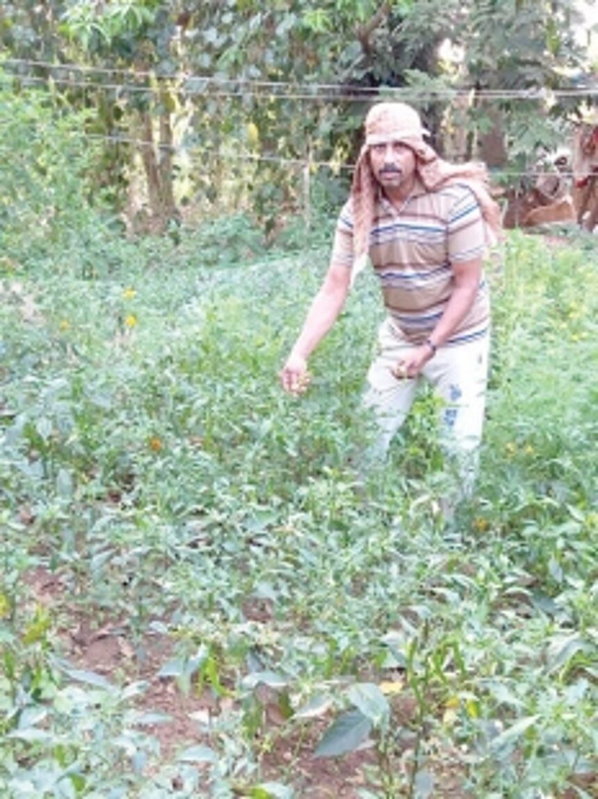 Engineer-turned-farmer from Canacona coming to the rescue of those in need