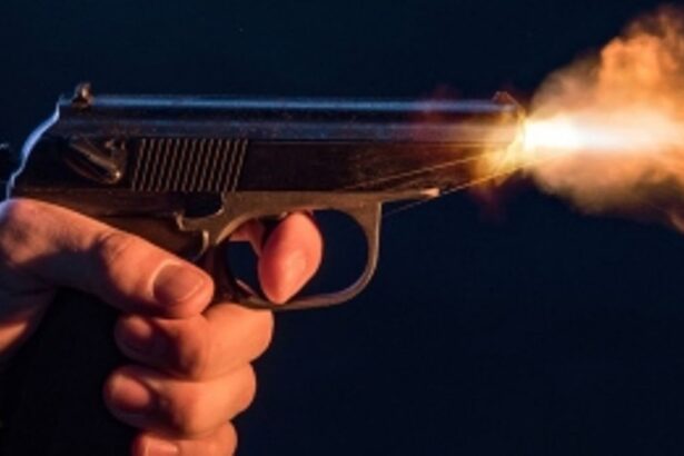 Engineering Student Fatally Shot by Partner's Father