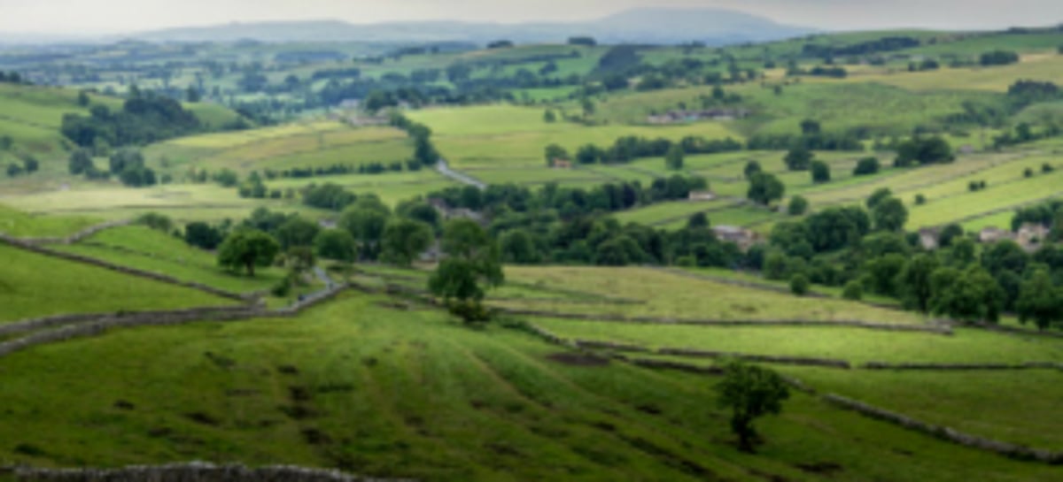 Engineers can play vital role in environment protection, says  Dy Conservator Forest