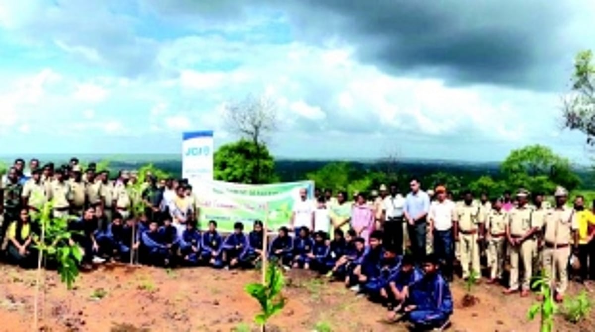 Enriching the landscape: Forest Dept plants 5,000 saplings across Goa