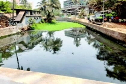 Ensure St Inez Creek is rejuvenated soon, farmer writes to CCP