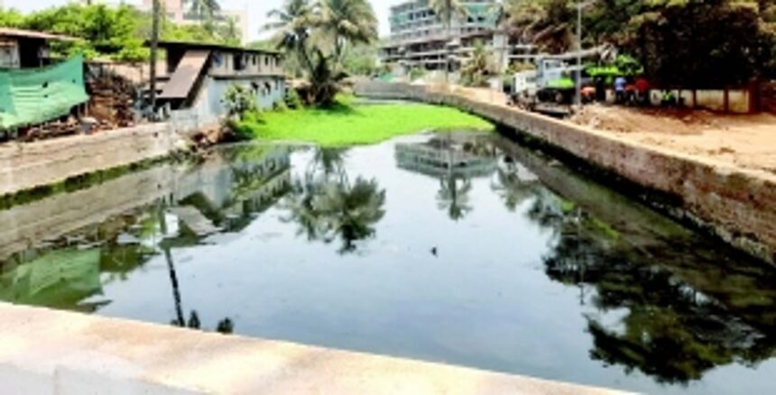 Ensure St Inez Creek is rejuvenated soon, farmer writes to CCP