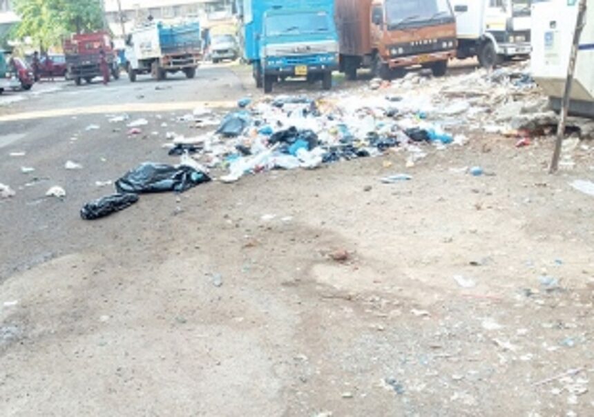 Ensure collection of garbage even on weekends, holidays