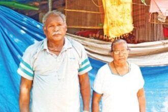 Entangled in the pandemic  net of misfortune