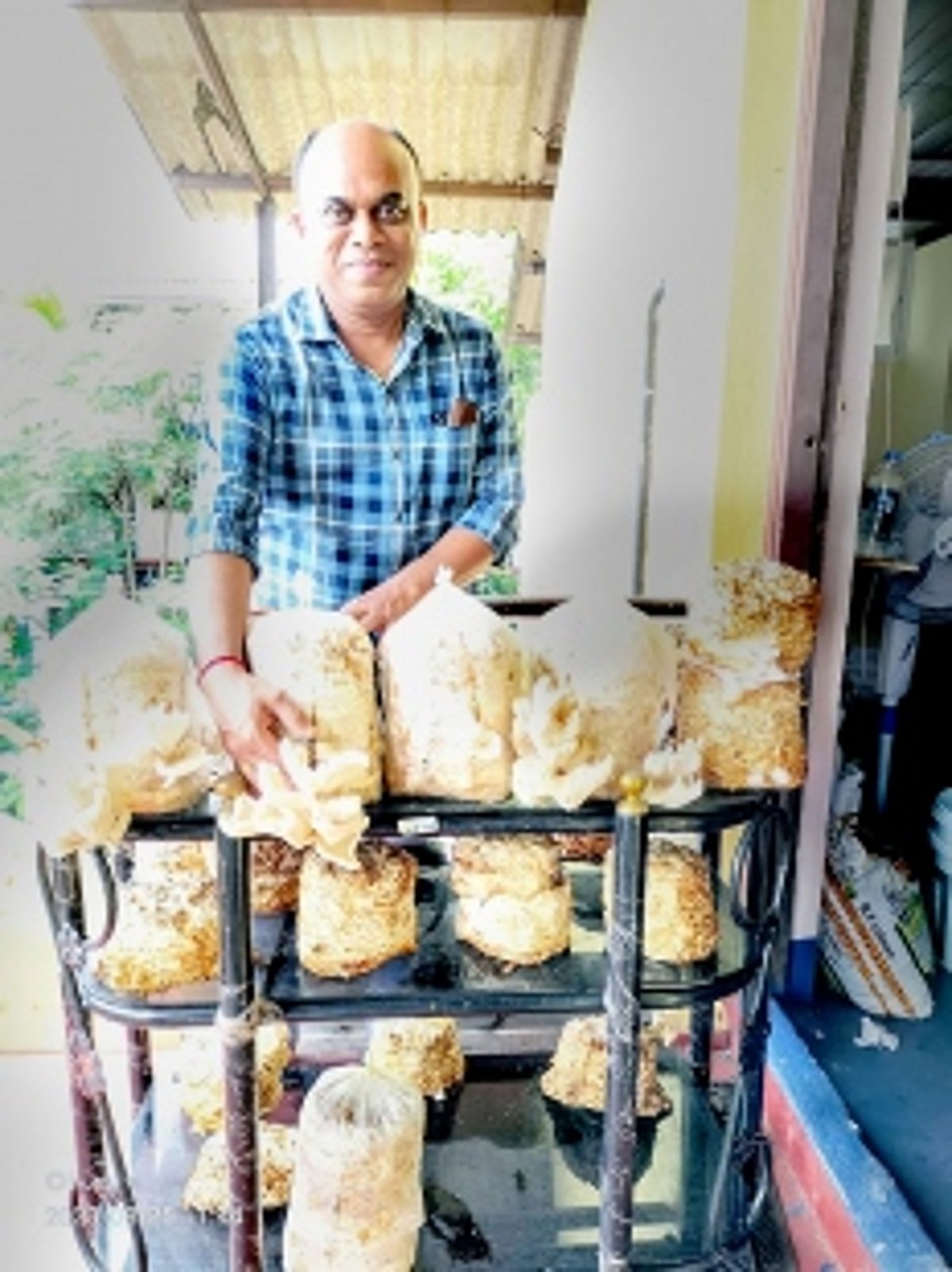Entrepreneur, researcher and fun-guy Shivanand Volvoikar taps the magical potential of  mushrooms