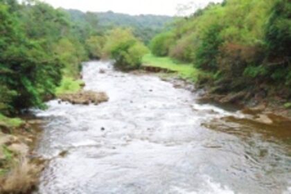 Environment Ministry concerned that Karnataka’s ‘drinking water’ project that needed Mhadei diversion, is close to wildlife sanctuaries