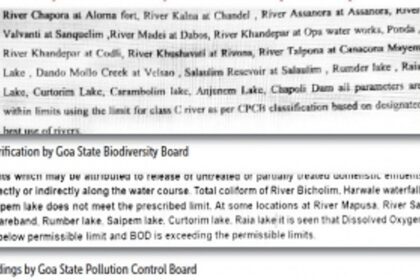 Environment bodies at odds with each other over lake pollution