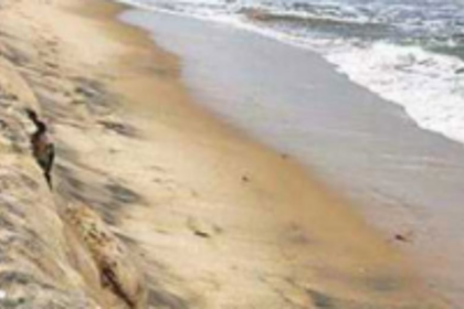 Environment dept shares posts  in A bid to clear doubts