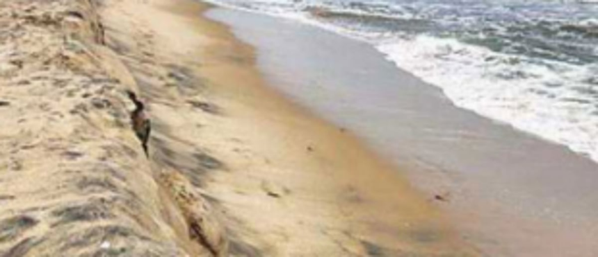 Environment dept shares posts in A bid to clear doubts