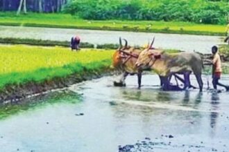 Environment minister Cabral reiterates the requirement of Tamnar line