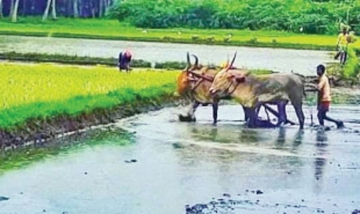 Environment minister Cabral reiterates the requirement of Tamnar line